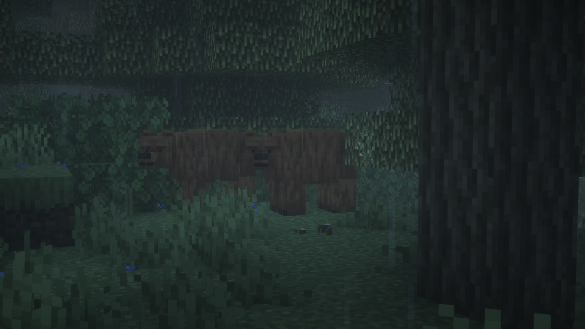 Alaskan_Wilderness_4